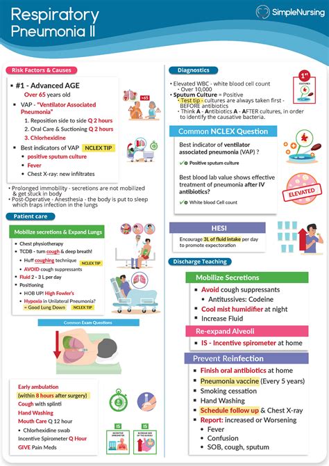 studocu notes|studocu notes pdf.